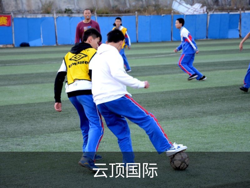 关于云顶国际